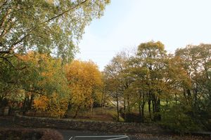 Views - click for photo gallery